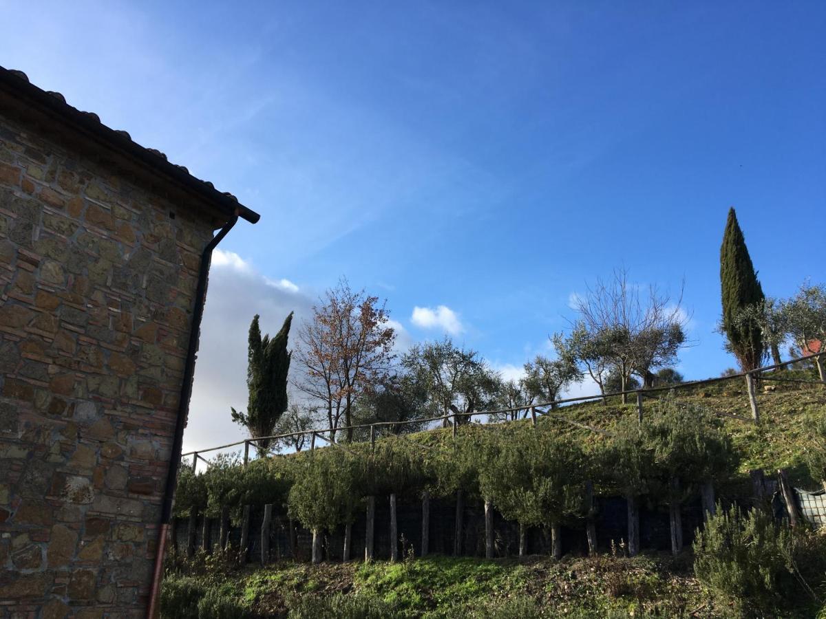 Villa Ledonia Montaione Esterno foto