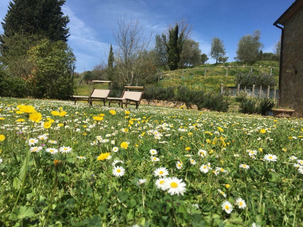 Villa Ledonia Montaione Esterno foto